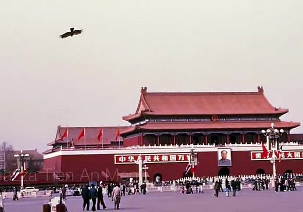 CINA 1989