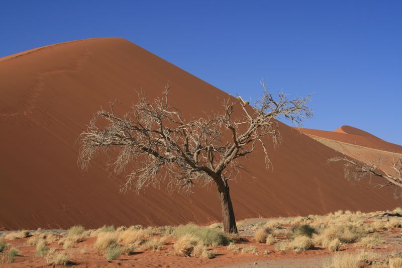 NAMIBIA